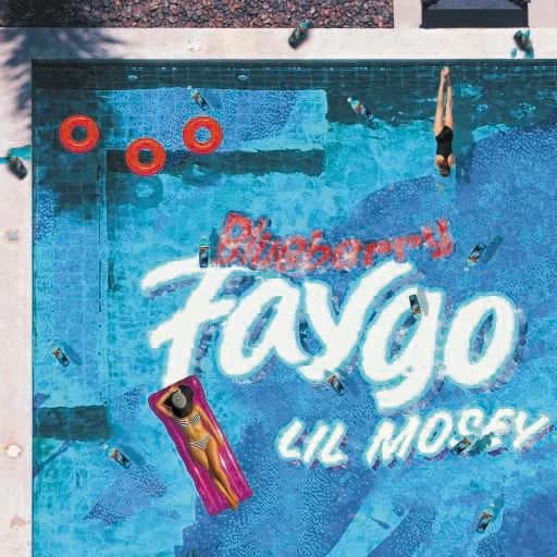 خرید آیتم فورتنایت Blueberry Faygo