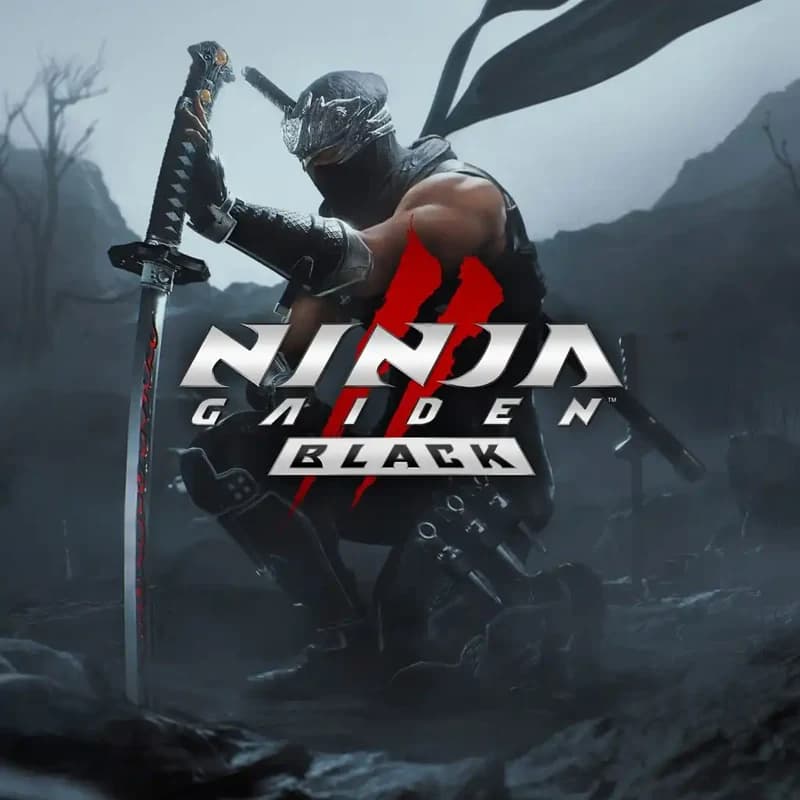 کاور بازی NINJA GAIDEN 2 Black