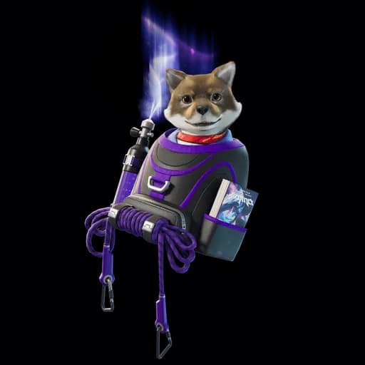 خرید آیتم فورتنایت Ace's Cozy Pack